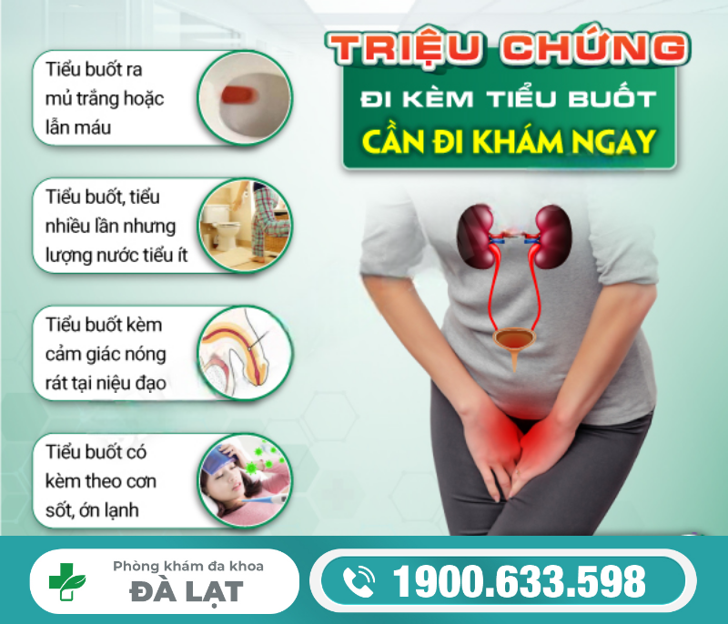 Hình ảnh minh họa